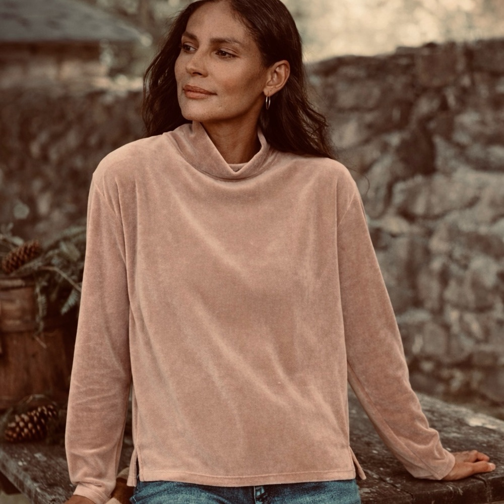 Garnet Hill Velour Mock Neck Boxy Top